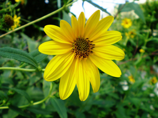 692906 (a): :1600x1200